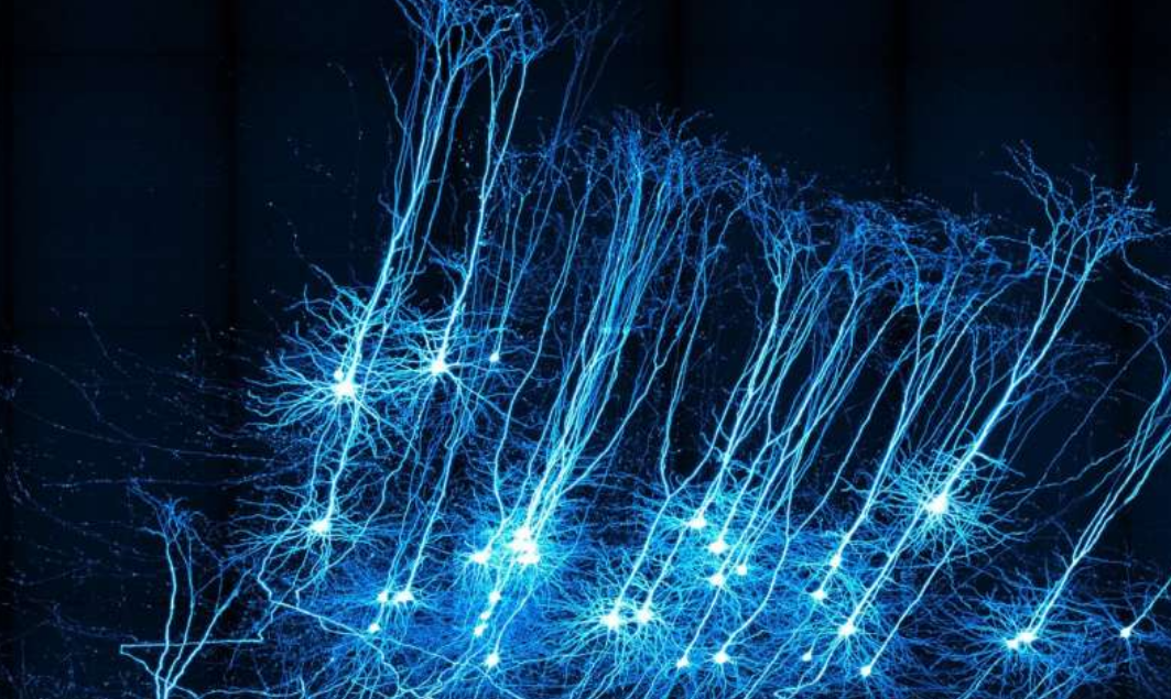 Нейронные связи. Нейронная сеть мозга. Нервная сеть. Нейрон нейросети.